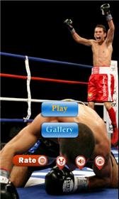 game pic for Boxing