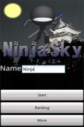 game pic for NinjaSky