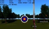 game pic for ProArchery
