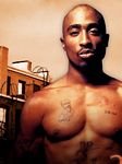 pic for 2pac