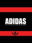 pic for Adidas!
