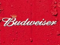 pic for Budweiser