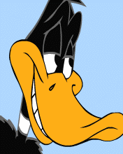 pic for Daffy