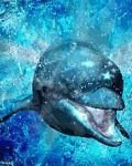 pic for Dolphin