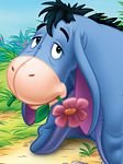 pic for Eeyore