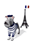 pic for FrenchDog
