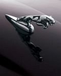 pic for Jaguar