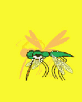pic for Mosquito