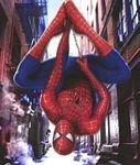 pic for SPIDERMAN