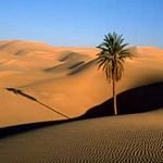 pic for Sahara