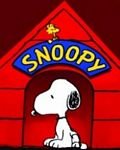 pic for Snoopy