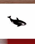 pic for Whale