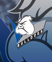 pic for bulldogs