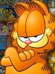 pic for garfield