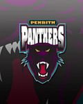 pic for panthers