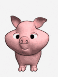 pic for piggy