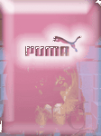 pic for puma