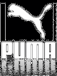 pic for puma