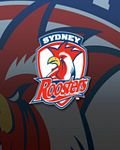 pic for roosters