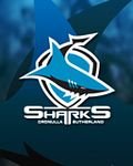pic for sharks