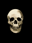 pic for skull