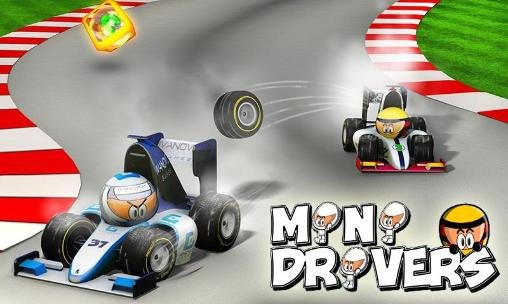 game pic for Minidrivers