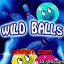game pic for WildBalls