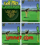 game pic for GolfProContest