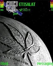 game pic for Marijuana2