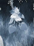 pic for 