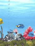 pic for Aquarium