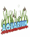 pic for Aquarium