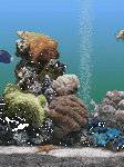 pic for Aquarium