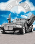 pic for BMW
