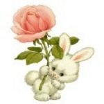 pic for BUNNY