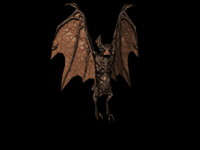 pic for Bat