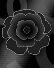 pic for BlackRose