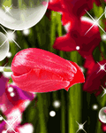 pic for Blob