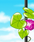 pic for Blossom