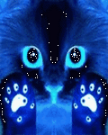 pic for BlueCat