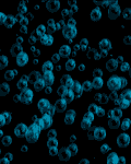 pic for Bubblor