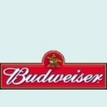 pic for Budweiser