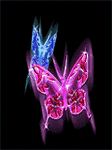 pic for ButterFly
