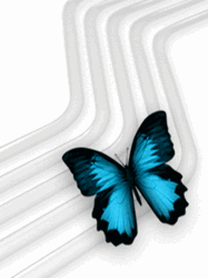 pic for Butterfly