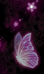 pic for Butterfly