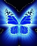 pic for Butterfly