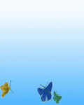 pic for Butterflys