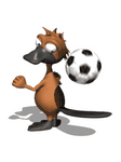 pic for Castor