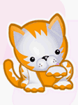 pic for Cat
