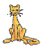pic for Cat